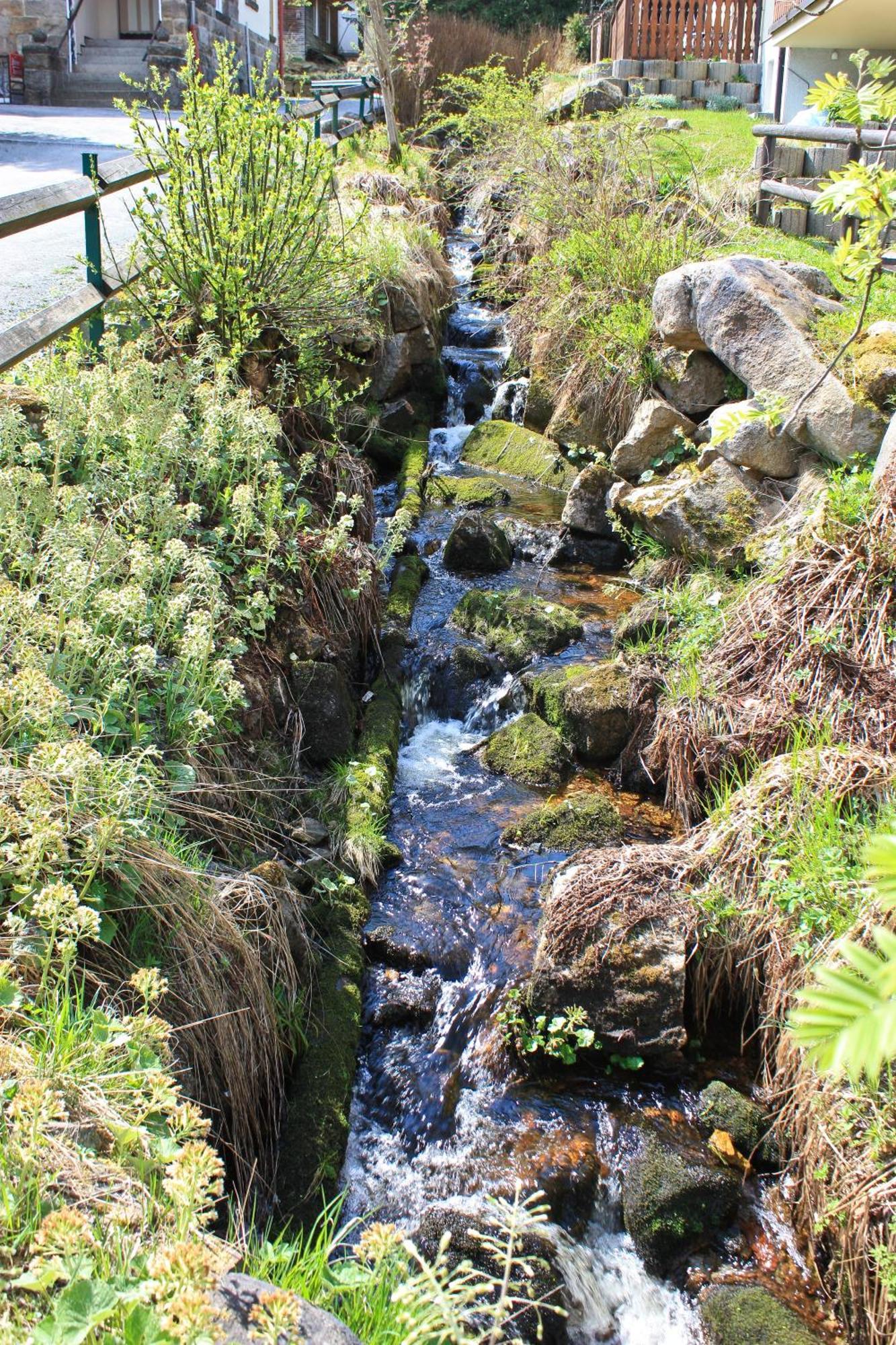 Ferienanlage Zum Wildbach Schierke Zewnętrze zdjęcie